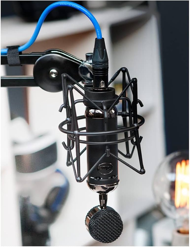 Amazon.com: Blue Blackout Spark SL XLR Condenser Microphone for