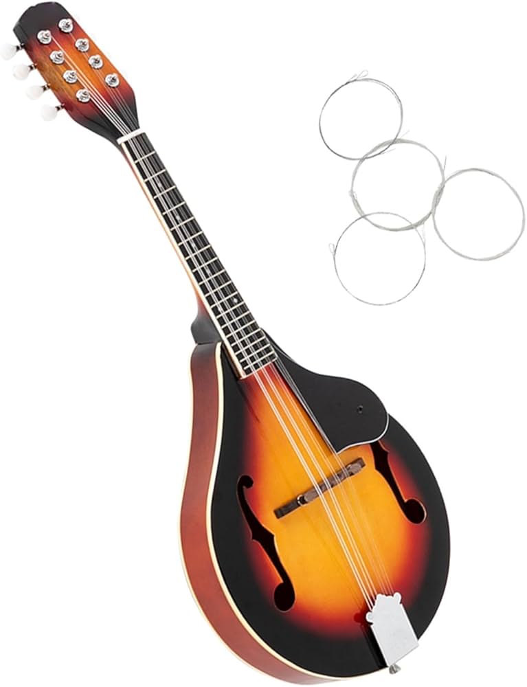 Amazon | マンドリン楽器 スタイル 8 弦マンドリン フラットバック