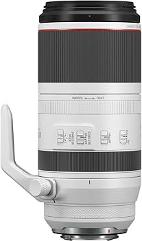 Amazon.co.jp: Canon (キャノン) RF 100～500mm F値4.5～7.1 L IS USM