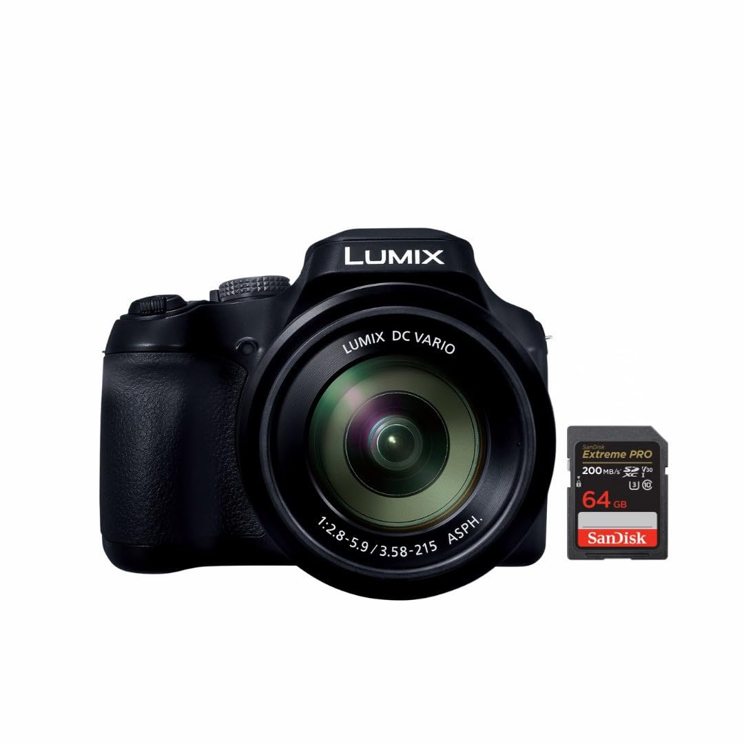 Amazon.com : Panasonic LUMIX FZ80D 20 to 1200mm Zoom Lens Point