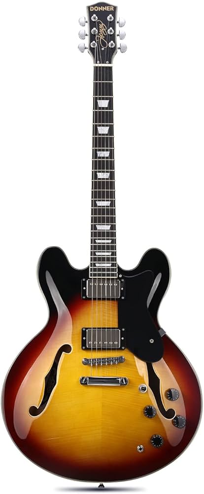 Amazon | Donner セミアコギター エレキギター セミアコースティック