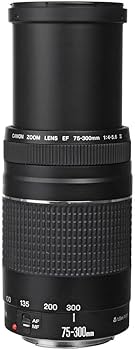 Amazon.co.jp: Canon EF 75 – 300 mm f / 4 – 5.6 III望遠ズームレンズ