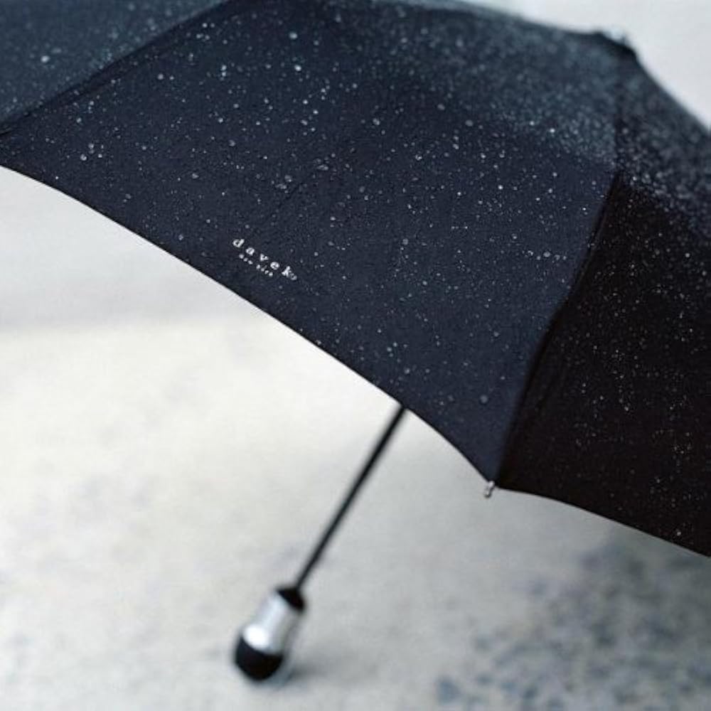 Amazon | Davek SOLO New York ニューヨーク 高級雨傘 ブラック