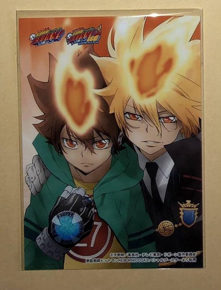 リボアニ ポストカード 沢田綱吉 専用封筒 家庭教師ヒットマンreborn