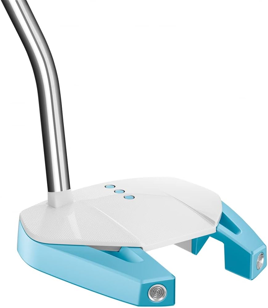 Amazon.co.jp: TAYLOR MADE(テーラーメイド) SPIDER GT(スパイダーGT