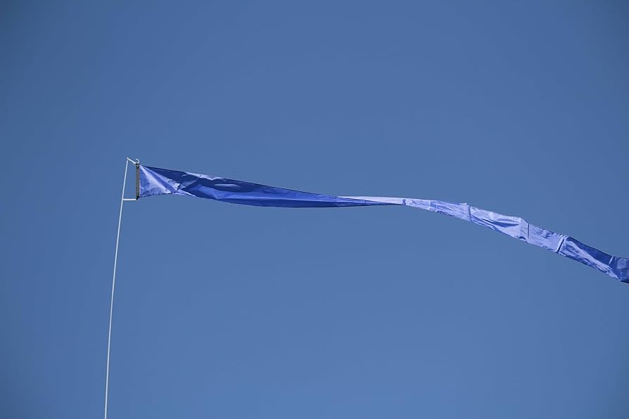 Amazon.com : EEZ RV Products 32FT Telescoping Wind Sock Pole with