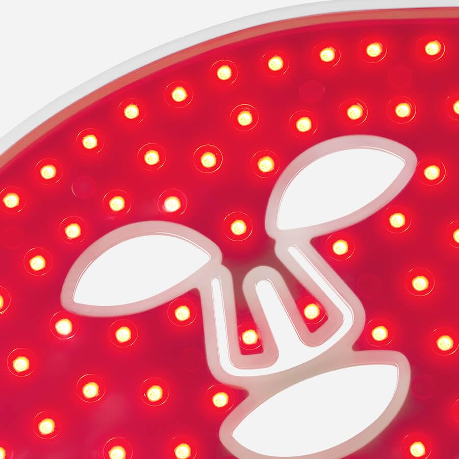 Amazon.com : CurrentBody Skin LED Light Therapy Face Mask | Red