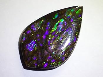 Amazon.co.jp: 蛍光に光る古代の化石アンモライト27.4mm27.6ct