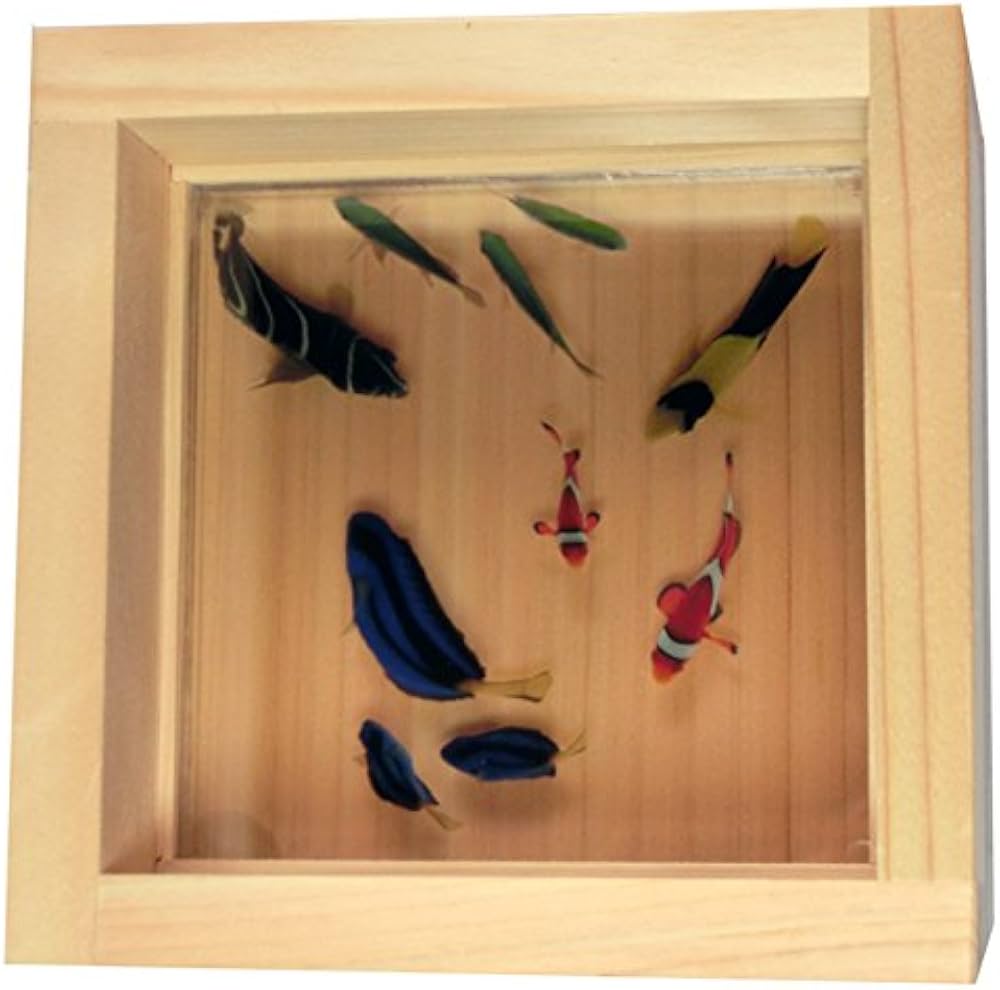 Amazon.co.jp: カクレクマノミ ナンヨウハギ 海水魚 樹脂金魚 金魚