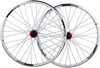 51Ha-YV5TUL._AC_UF350,