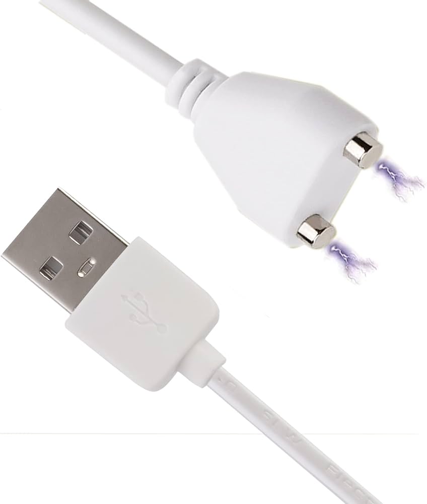 Amazon.co.jp: CSDWELL 10mm 磁気充電器 Lovense Max2 Womanizer