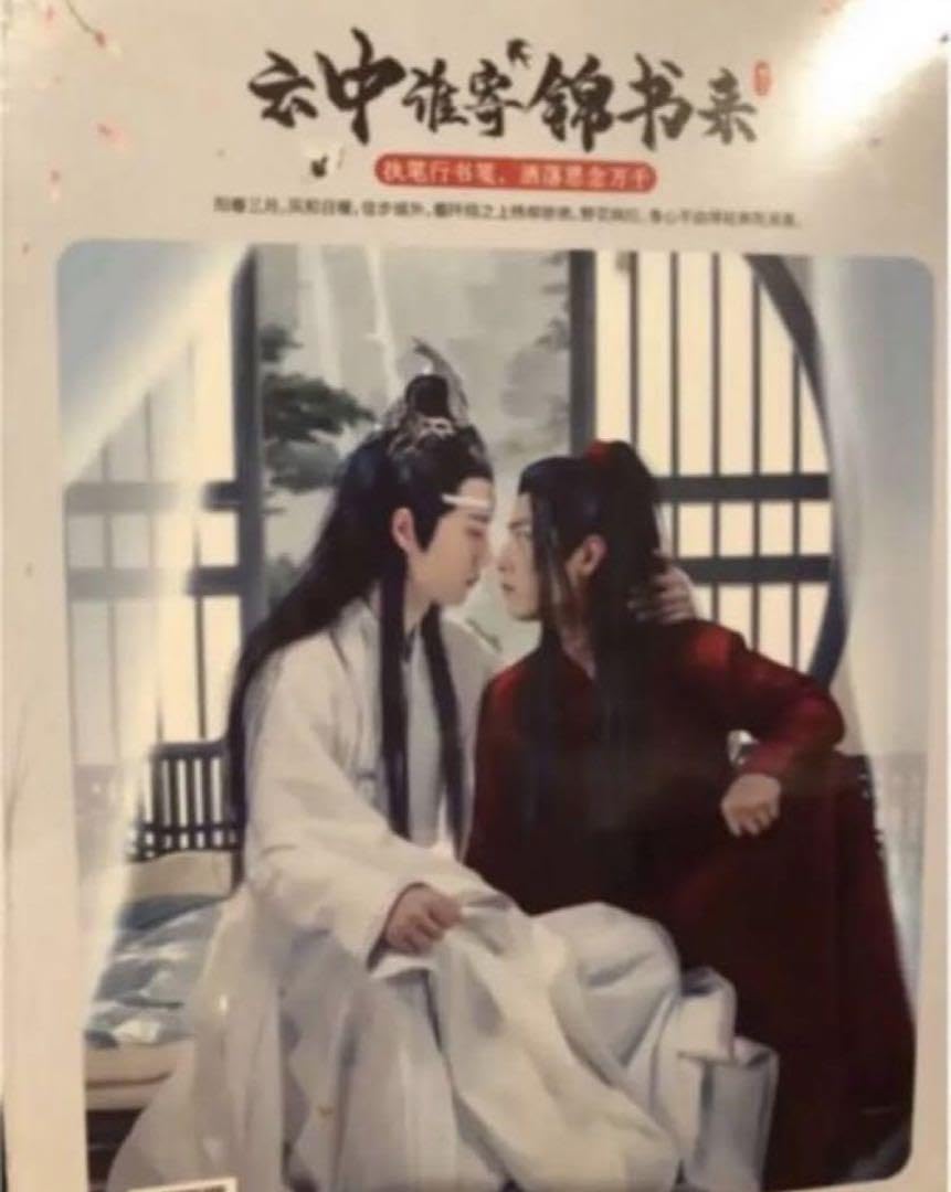 Amazon.co.jp: 中国ドラマ 陳情令 The Untamed 肖戦 王一博 限定写真集