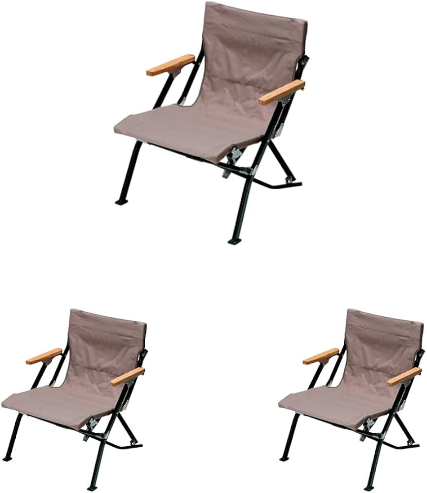 Amazon.co.jp: スノーピーク(snow peak) チェア ローチェア30 ショート