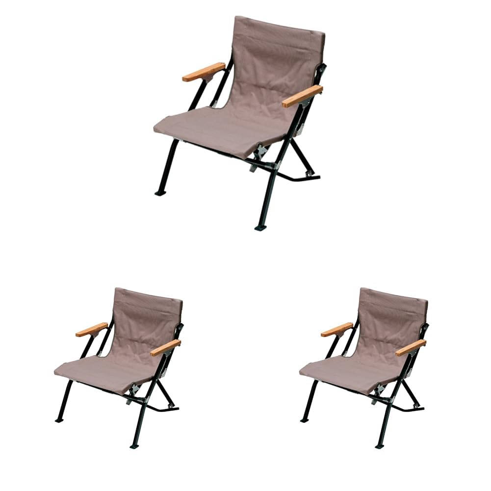 Amazon.co.jp: スノーピーク(snow peak) チェア ローチェア30 ショート