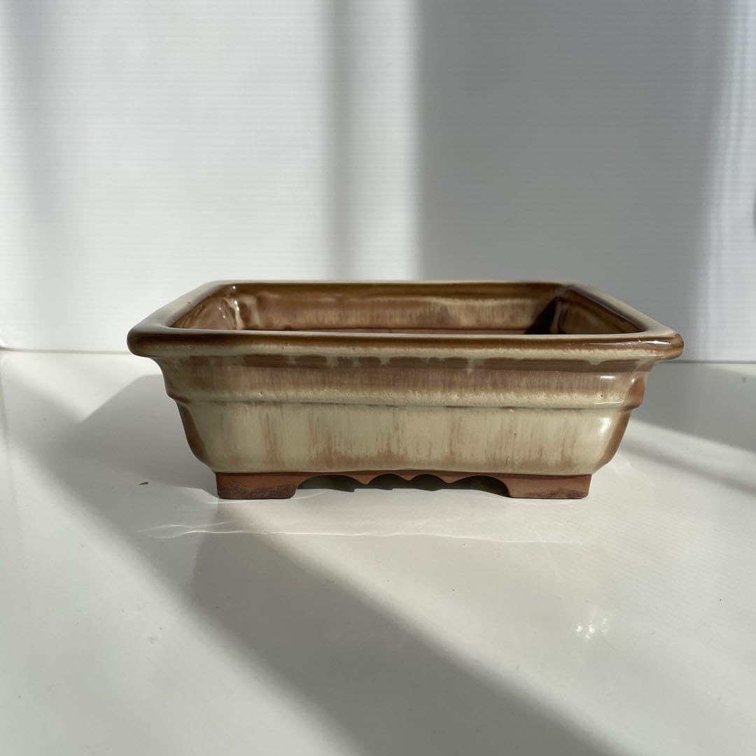 Amazon.co.jp: 盆栽鉢 落款 陶翠 : DIY・工具・ガーデン