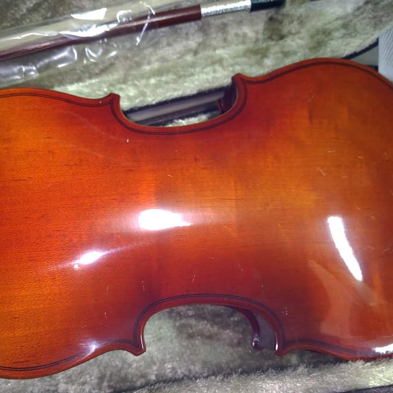 Amazon | スズキ アウトフィットバイオリン No.200 1/4 | バイオリン