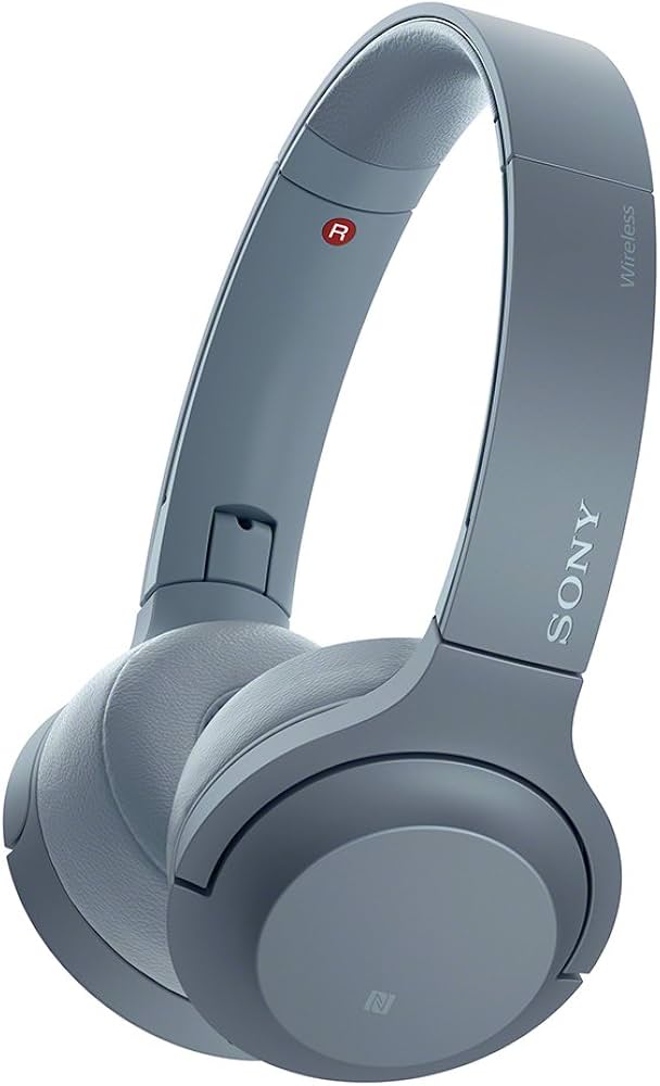 Amazon.co.jp: ソニー ワイヤレスヘッドホン h.ear on 2 Mini Wireless
