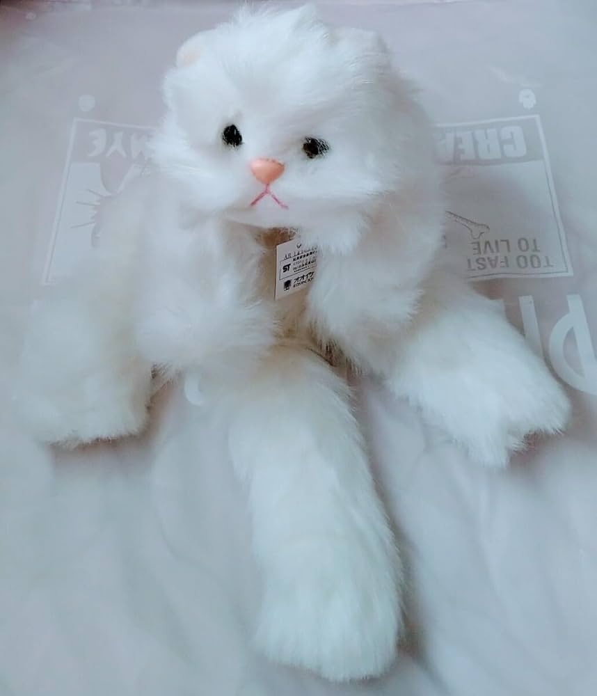Amazon.co.jp: オオイケOIKEペルシャ猫ぬいぐるみネコねこヌイグルミ白