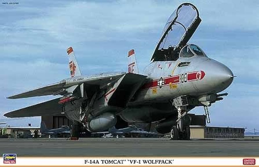 Amazon | ハセガワ F-14A トムキャット VF-1 ウルフパック 1/48 09917