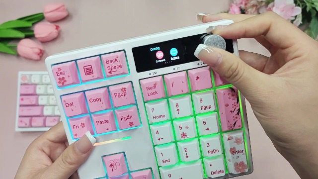 Amazon.com: ZMX X BOYI Cherry Blossom Pink Gaming Keyboard,65