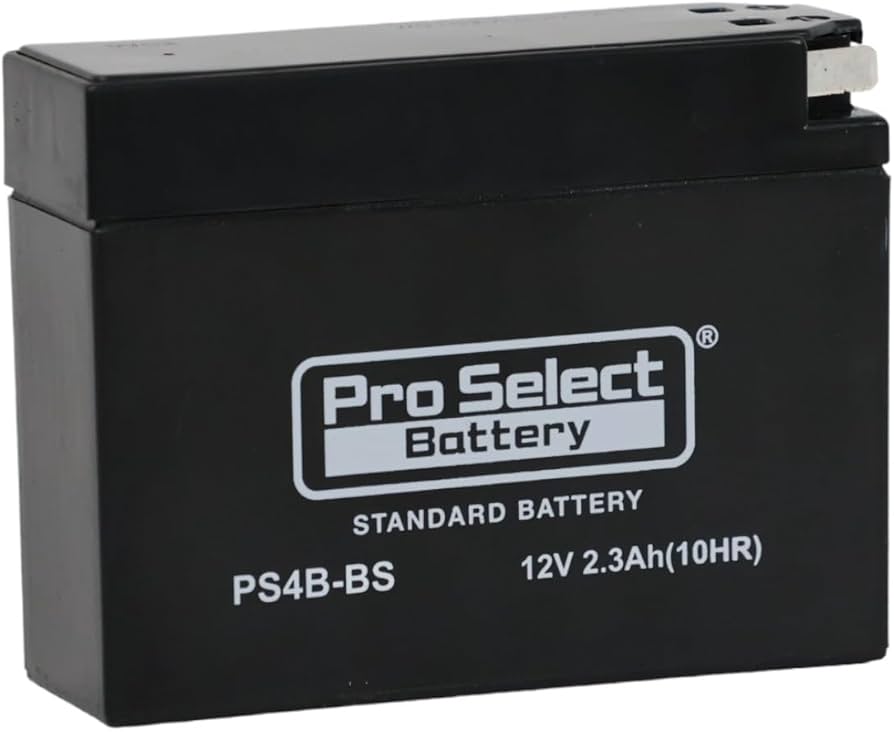 Amazon | ProSelect(プロセレクト) バイク PS4B-BS スタンダード