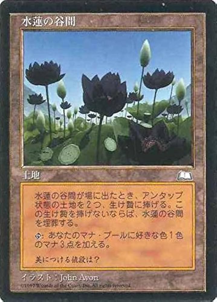 Amazon.co.jp: マジックザギャザリング MTG 土地 日本語版 水蓮の谷間