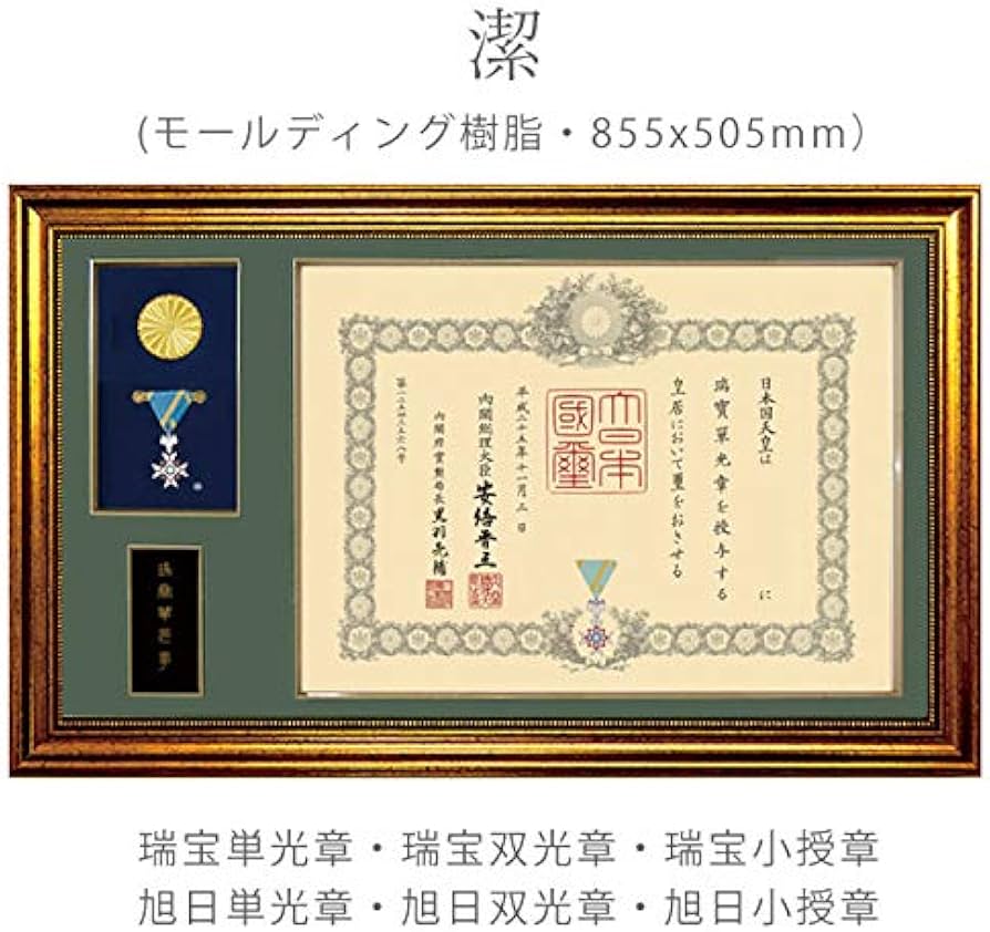 51MZijbylwL._AC_UF894,