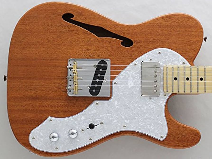 Amazon | FGN (Fujigen フジゲン 富士弦) NTL11MMHT-NT Neo Classic