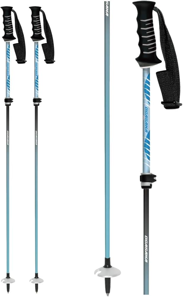 Amazon | OGASAKA オガサカ スキー ポール ストック メンズ レディース