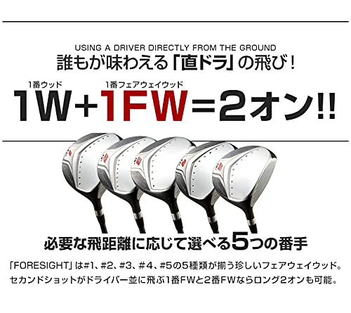 Amazon.co.jp: ワークスゴルフ【フォーサイト FW 1番ウッド 標準 V