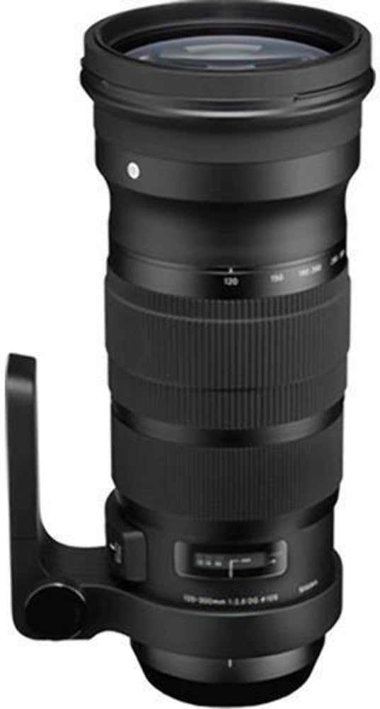 Amazon.co.jp: シグマ APO 120-300mm F2.8 EX DG OS HSM キヤノン用