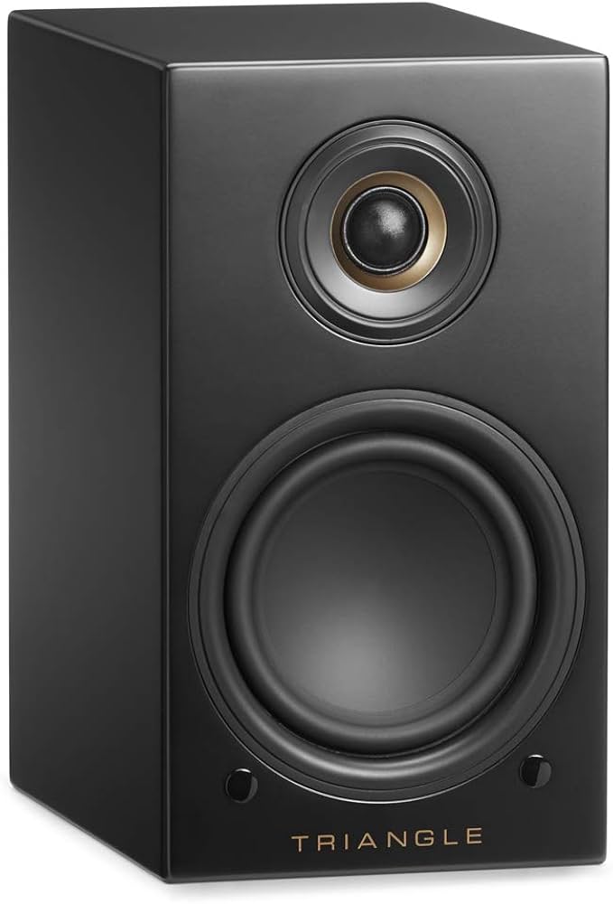 Amazon.co.jp: 【国内正規品】TRIANGLE アクティブスピーカー LN01A