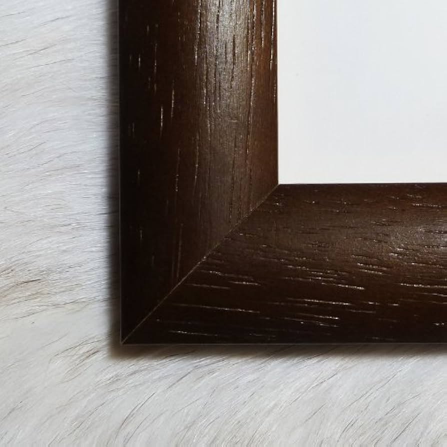 Amazon.co.jp: ポスター アンセル アダムス Desert Valley 額装品