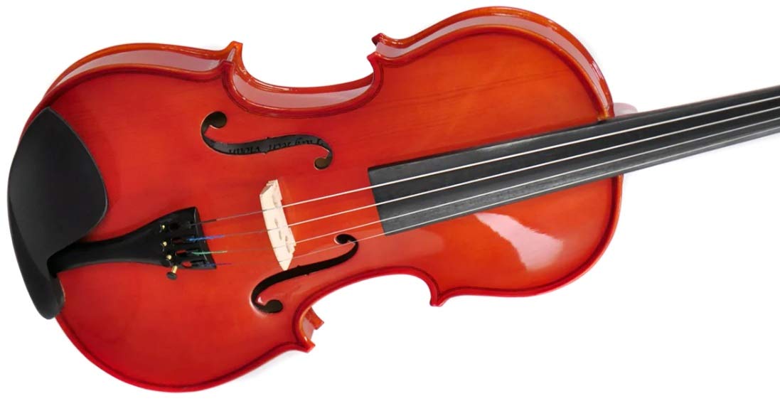 Amazon | PLAYTECH (プレイテック) バイオリン エントリーモデル 4/4