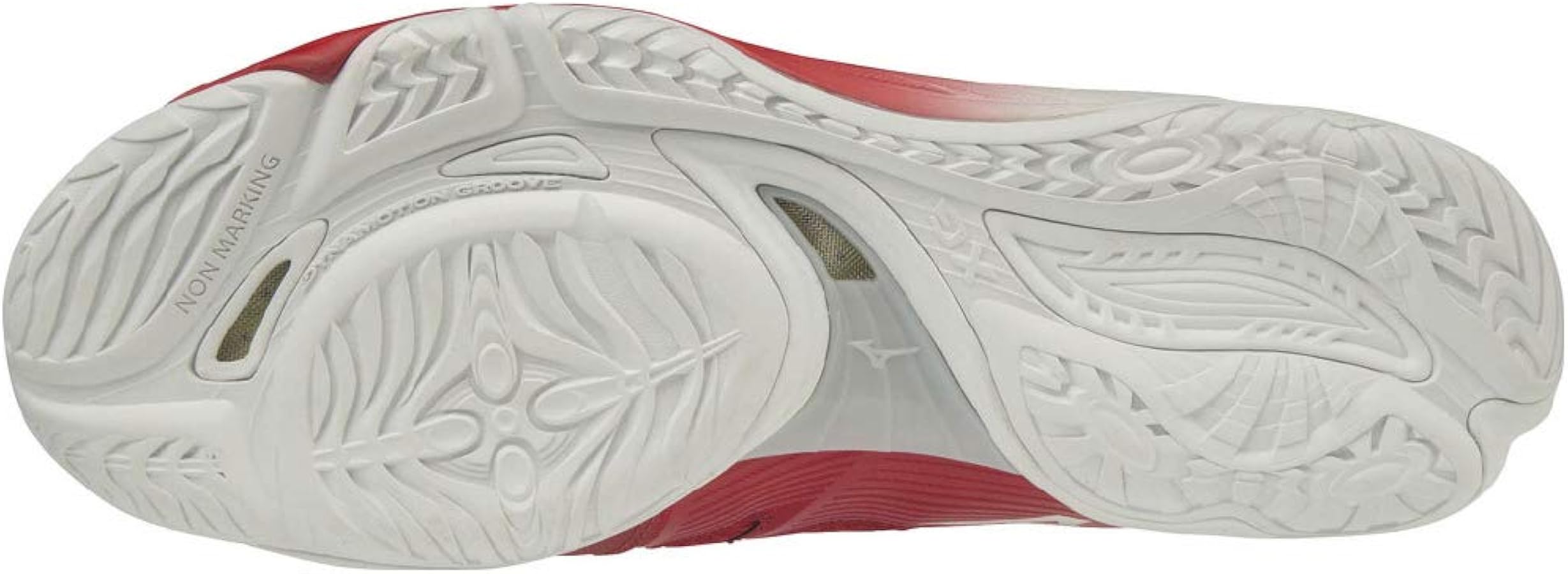 Amazon | [ミズノ] バレーボールシューズ ロイヤルフェニックス 2