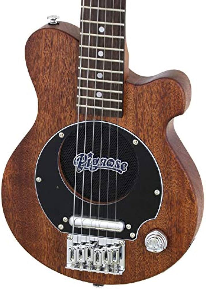 Amazon | オールマホガニー仕様！PIGNOSE/PGG-200MH STBR アンプ内蔵