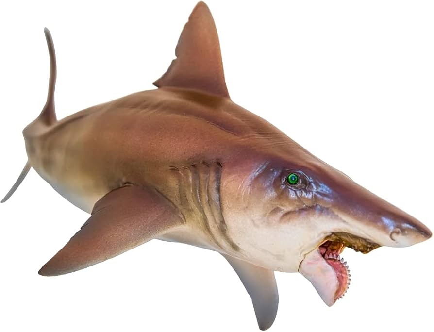 Amazon.com: Lana Toys PNSO Helicoprion Haylee Figure Realistic