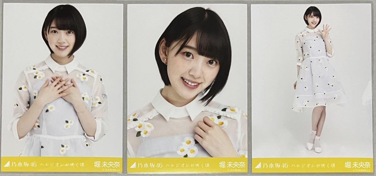 Amazon.co.jp: 乃木坂46 堀未央奈 会場限定 ハルジオンが咲く頃 生写真