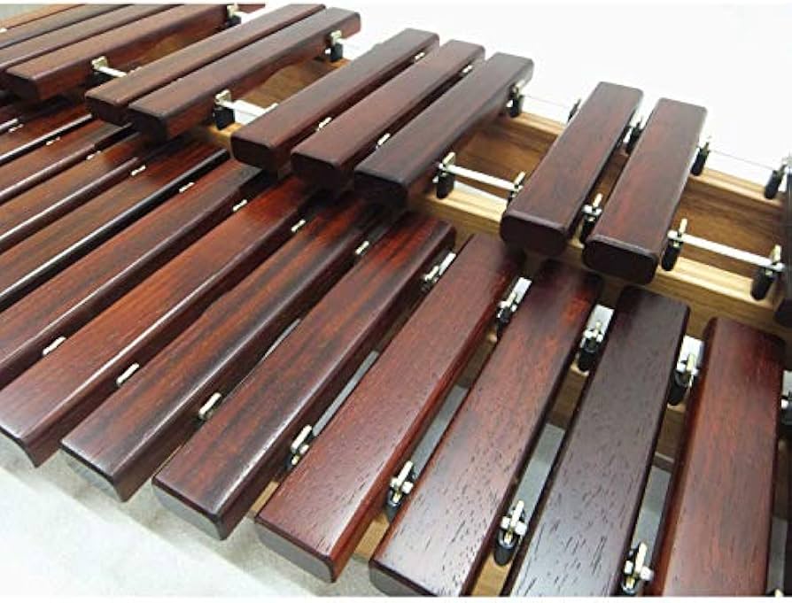 Amazon | コオロギ シロフォン 高級卓上木琴 ECO32 ソフトケース