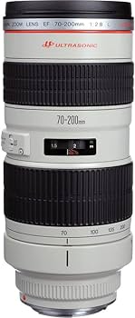 Amazon.com : Canon EF 70-200mm f/2.8L USM Lens (2569A004) + Filter