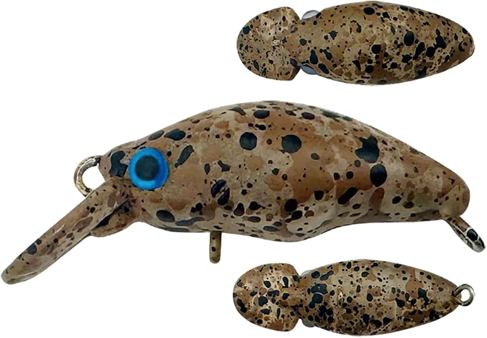 Amazon | スミス(SMITH LTD) ダンゴウオDR-Low 03 エレクトリックRG