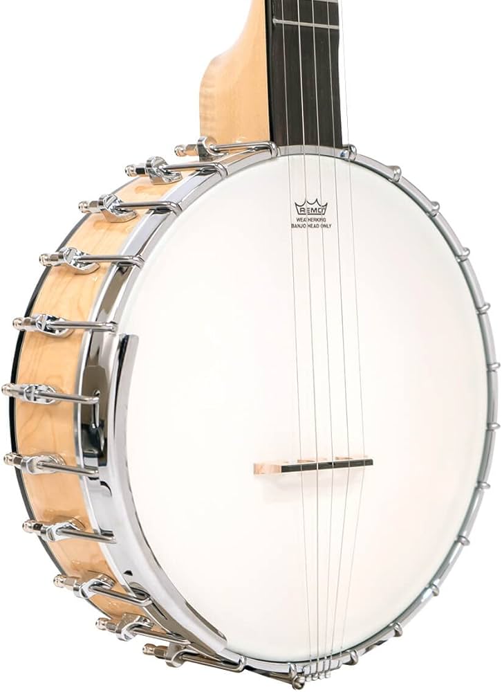 Amazon | ゴールドトーン 5弦 ロングネック バンジョー ギグバッグ付き