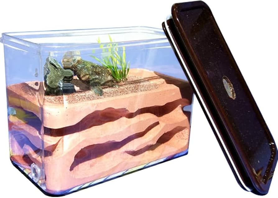 Amazon | Umora アリの巣 アリ飼育キット 石膏製巣箱 アリ観察キット