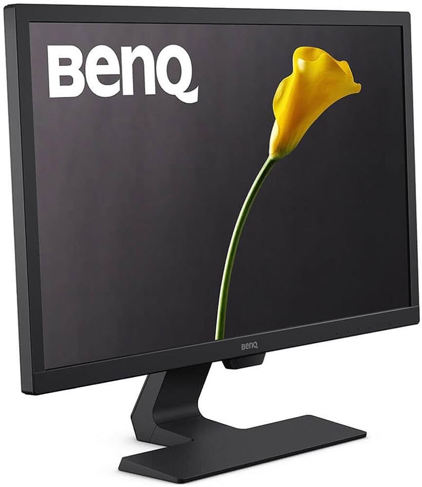 Amazon.com: BenQ GL GL2460HM 24-Inch Screen LED-Lit Monitor, Black