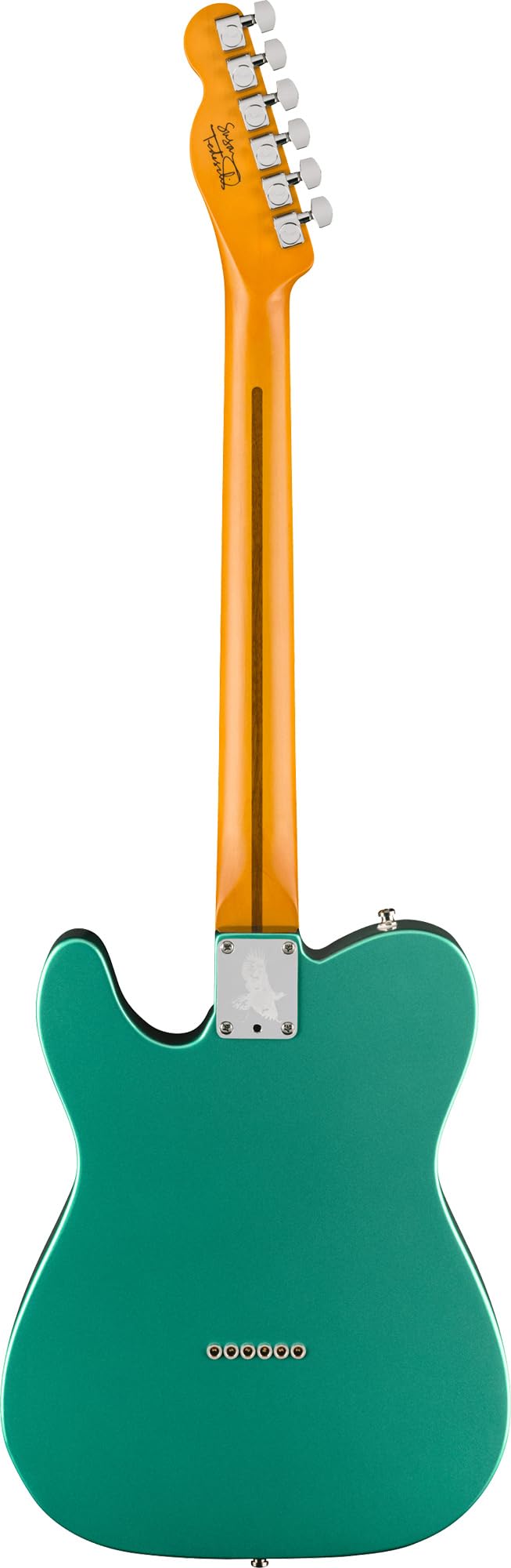 Amazon.com: Fender Susan Tedeschi Telecaster - Aged Caribbean Mist
