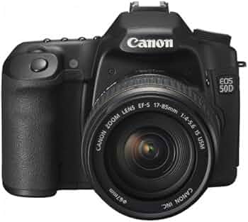 51VUdtx86WL._AC_UF350,