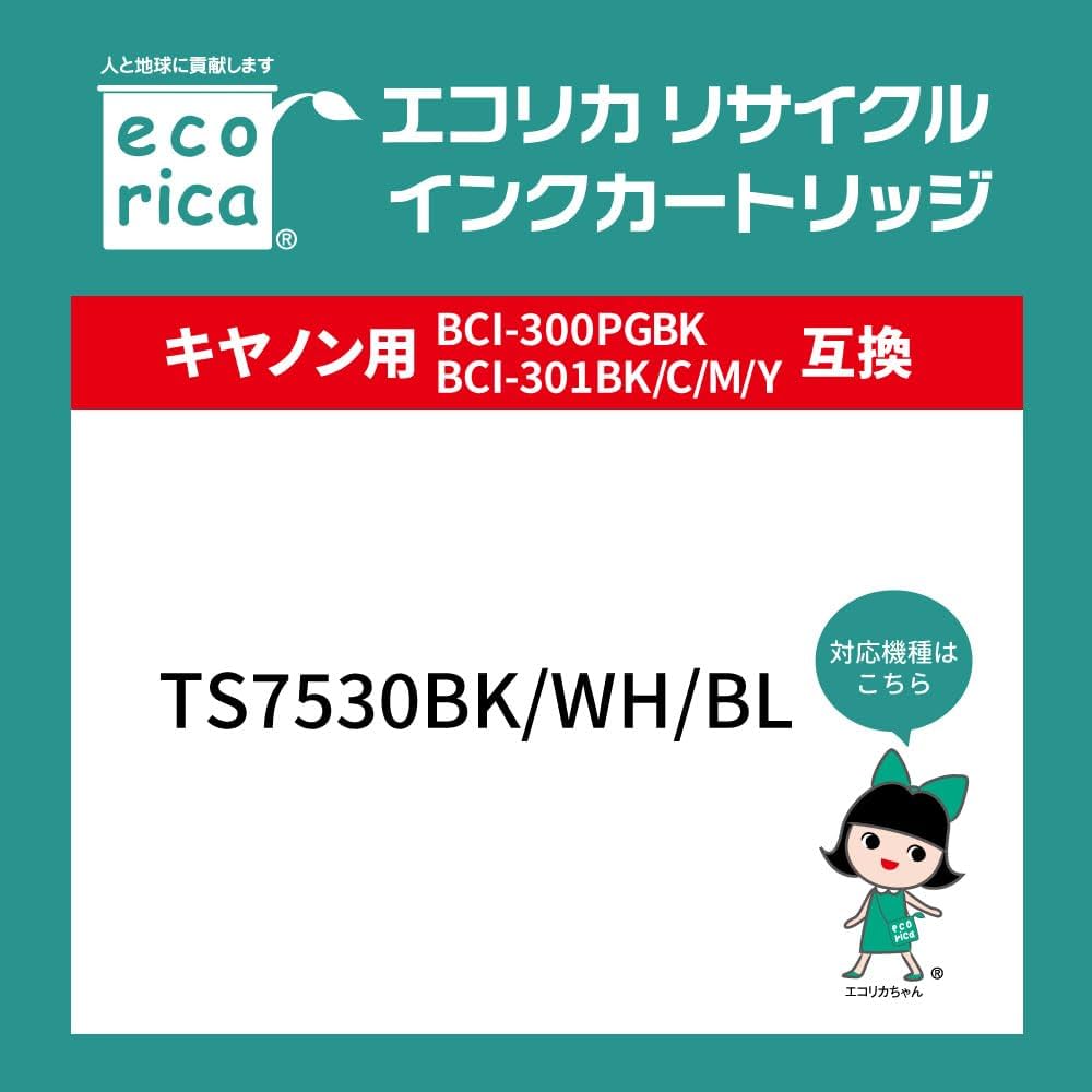 Amazon.co.jp: エコリカ キヤノン BCI-301+300/5MP対応リサイクル