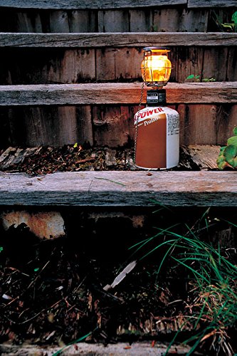 Amazon.co.jp: スノーピーク(snow peak) ギガパワー2WAYランタン