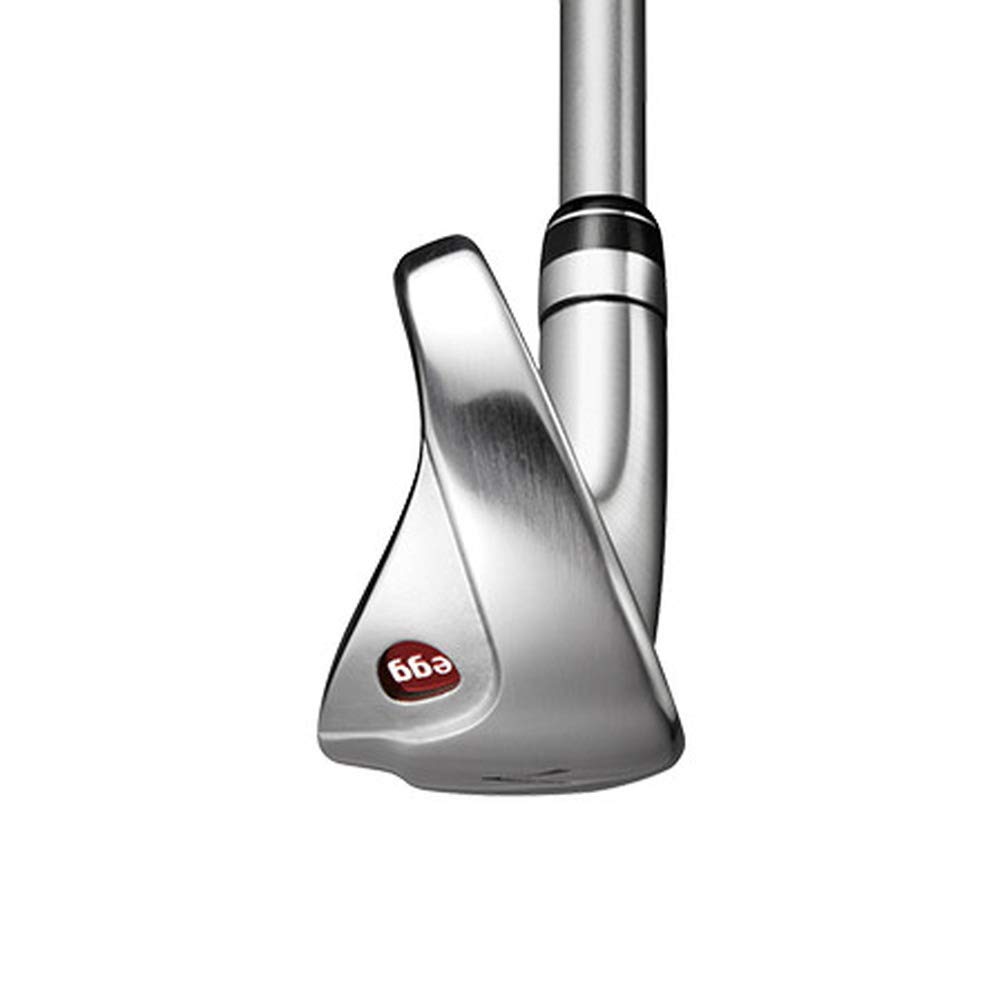 Amazon.co.jp: PRGR(プロギア)赤EGG17アカエッグアイアンM40カーボン