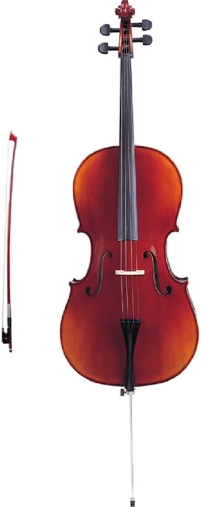 Amazon | Hallstatt ハルシュタット チェロ HC-700 4/4サイズ | チェロ